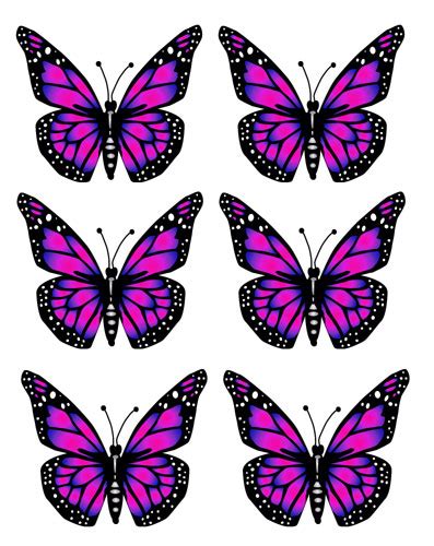 transparent background purple butterfly clipart - Clip Art Library