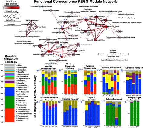 Functional Co Occurrence Network Inferred From The Sparcc Algorithm Download Scientific Diagram