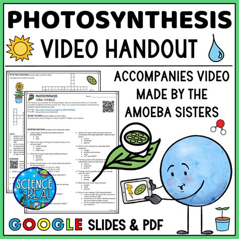 Photosynthesis Amoeba Sisters Handout Science Is Real Education