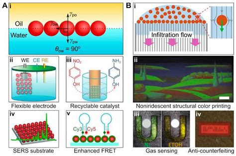 Interfacial Self Assembly Of Colloidal Particles For Various Download Scientific Diagram