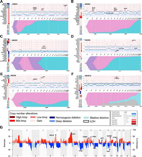 Figure 2 From Subclonal Somatic Copy Number Alterations Emerge And