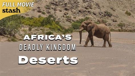 Africas Deadly Kingdom Deserts Wildlife Documentary Full Movie