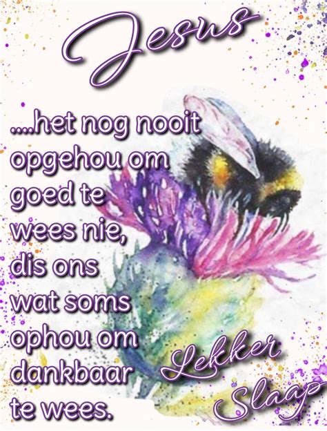 Pin By Stephanie On Goeie Nag Wense In Afrikaanse Quotes Goeie