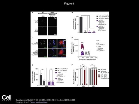 Distinct Roles Of The Chromosomal Passenger Complex In The Detection Of