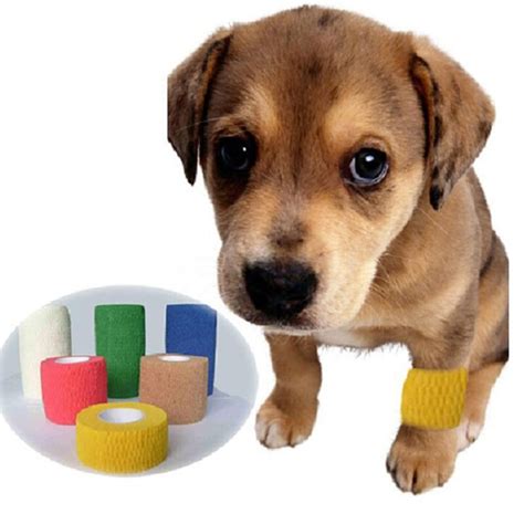 Aliexpress.com : Buy 1pc/lot Colorful Elastic Pet Bandage Vet Cohesive Bandage dog Injury ...