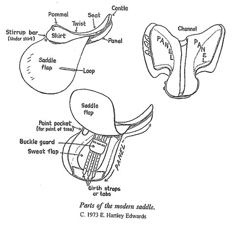 Parts Of An English Saddle And Bridle