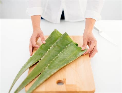 Cómo hacer gel de aloe vera puro casero PequeRecetas