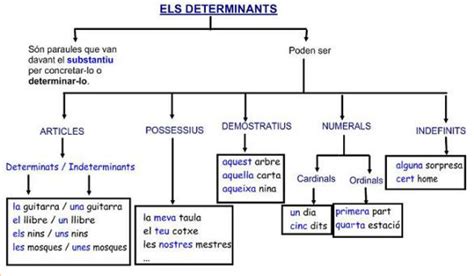 Mapa Conceptual Dels Determinants Lectura Y Escritura Gramática Ortografia Catalana