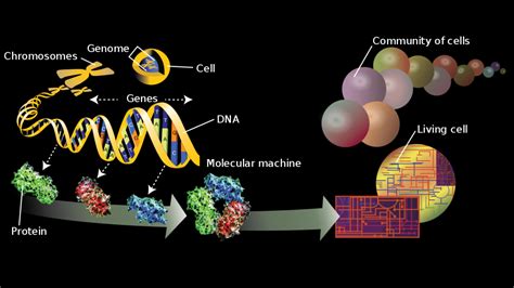 Genomics Transcriptomics And Proteomics For Data Scientists Dna Rna