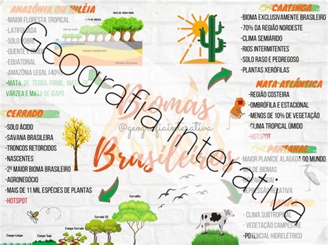 Geo Atividade Interativa Sobre Os Biomas Brasileiros Descubra