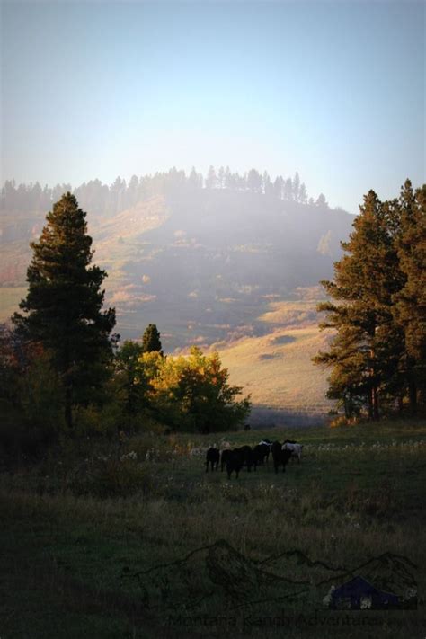 From The Plains To The Peaks Montana Mountains Montana Aesthetic