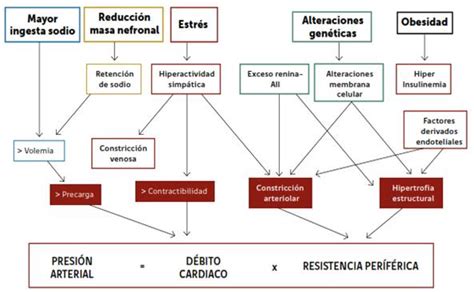 Epidemiologia Dehipertensi N Arterial