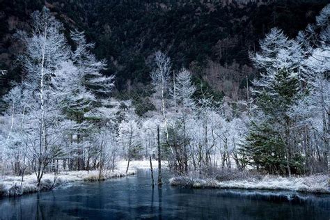 Tripadvisor Randonnée d une journée dans les Alpes japonaises à