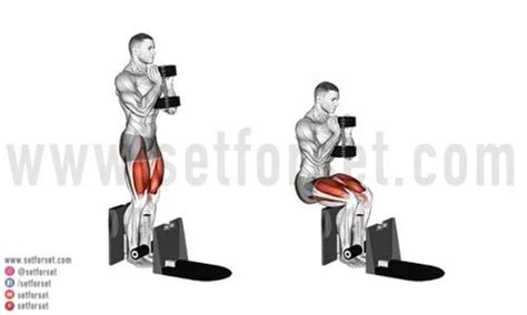 9 Great Leg Press Alternatives To Work The Same Muscles - SET FOR SET