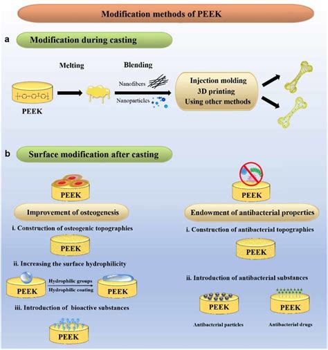 Surface Modification Methods For Peek A Modification During Download Scientific Diagram