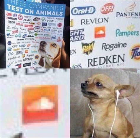 Animal cruelty at it's finest : r/memes