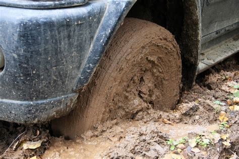 One Way Your Business Gets Stuck In The Mud Heart Of Business