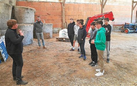 À Beuzec Cap Sizun Les Collégiens Du Collège La Mennais Visitent Une