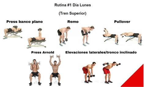 Los 22 Mejores Ejercicios Con Mancuernas En Casa Si Eres Cosas Para