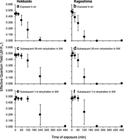 The chronological response of photochemical efficiency ΔF Fm of the