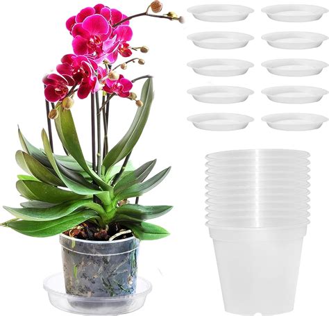 Pizsieat Pack Of Orchid Pots Transparent Orchid Planters Flower