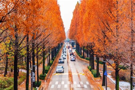 Experiencing The Breathtaking Beauty Of South Korea S Autumn Foliage