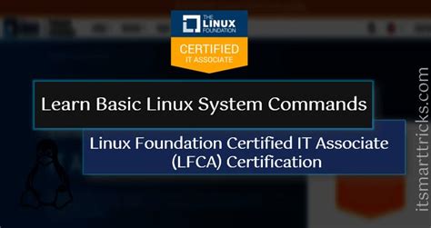 Learn Basic Linux System Commands For Lfca Certification Exam Linux