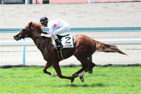 【小倉5r・2歳新馬戦】マテンロウスカイが5馬身差v 小倉・芝2000の2歳新馬戦で最速タイム スポーツ報知