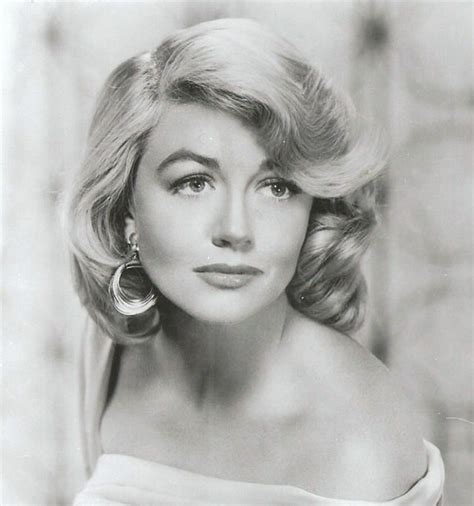 Dorothy Malone Hollywood Actresses Hollywood Icons Actresses