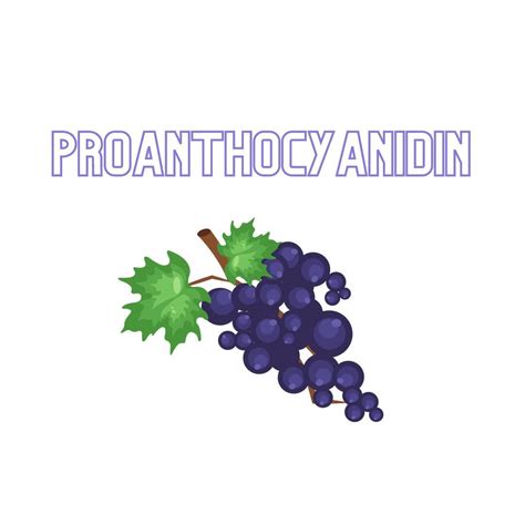 Proanthocyanidin | Cocoon Apothecary