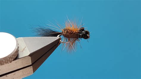 Fly Tying Foam Beetle Bluegill Fly Hook Youtube