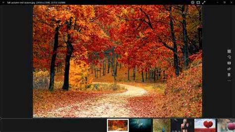 6 Best Photo Viewer For Windows 11 10 In 2024 Techdator