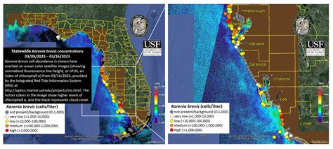 alerte maree rouge en floride le courrier des ameriques