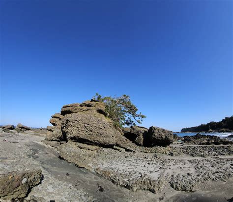 聖域の岬1 000年目のリニューアルオープン ランプの宿公式ホームページ