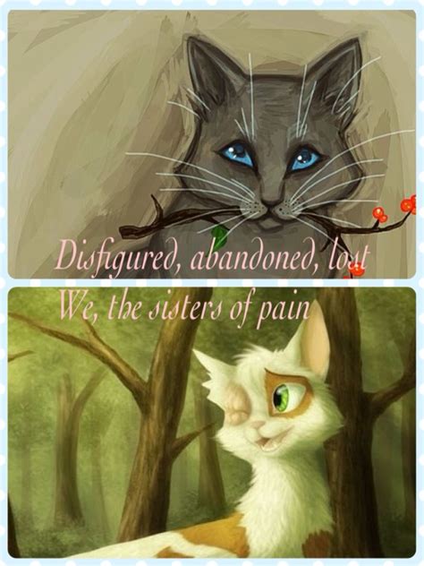 Pin On Warrior Cats