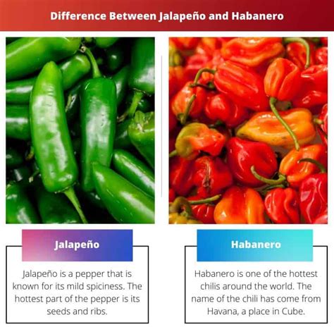 Jalapeño Vs Habanero Difference And Comparison