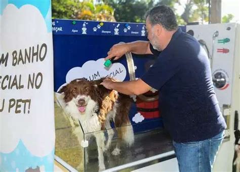 Parques De S O Bernardo Agora Contam Espa O Para Banho De Pets