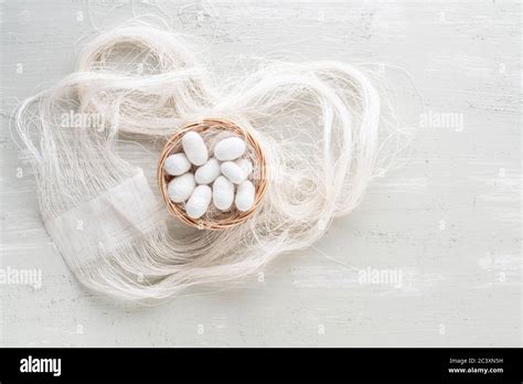 Silk Cocoon The Commercially Bred Caterpillar Of Silkworm Moth Which