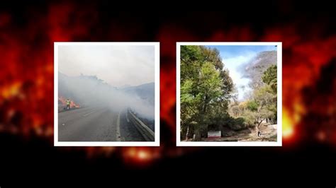 Reportan Cuatro Incendios Forestales Activos En Altas Monta As De