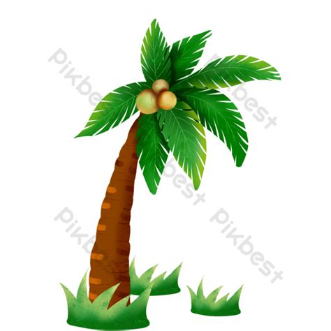 Pokok Kelapa Kartun Png Svg Coconut Tree Tropical Palm Free Svg Image