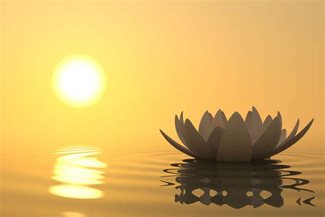 Mindfulness Desktop Wallpapers Top Free Mindfulness Desktop