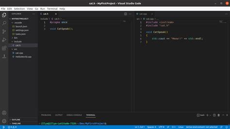 Setting Up C Development With Visual Studio Code On Ubuntu