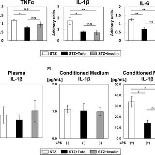 Tofogliflozin Treatment Inhibited The Macrophage Expression Levels Of