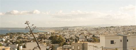 Kodak Gold 200 Free Preset — Luke Taylor Photography