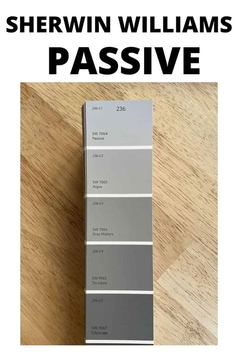 Sherwin Williams Passive Sw 7064 The Best Cool Gray West Magnolia Charm