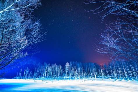 美瑛の丘で「ふたご座流星群」観賞2日間 宙ツーリズム