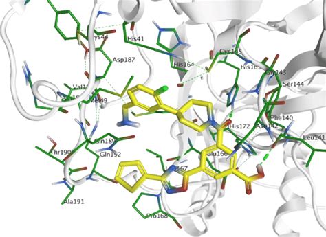 Docking Pose Of ChEMBL188068 Yellow Within The Active Site Of 3CLpro