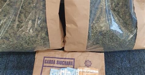 Two Men Arrested Following Roscommon Drugs Seizure Shannonsideie