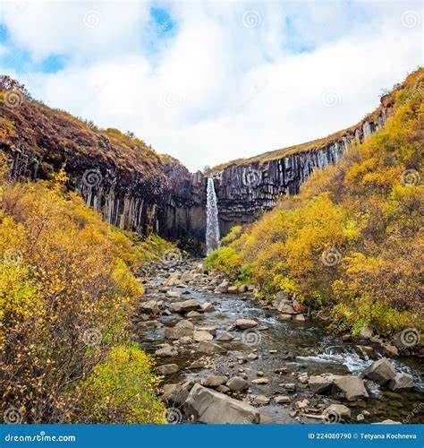 Svartifoss Famous Black Waterfall Iceland Skaftafel National Park