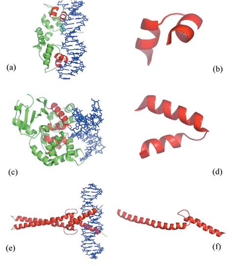 Figure 1 From Identifying Dna Binding Proteins Using Structural Motifs